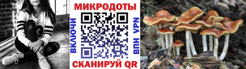 Галлюциногенные грибы MAGIC MUSHROOMS  Гуково 